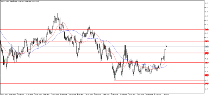 14 Ocak 2025 Forex Analizi: Brent Petrol