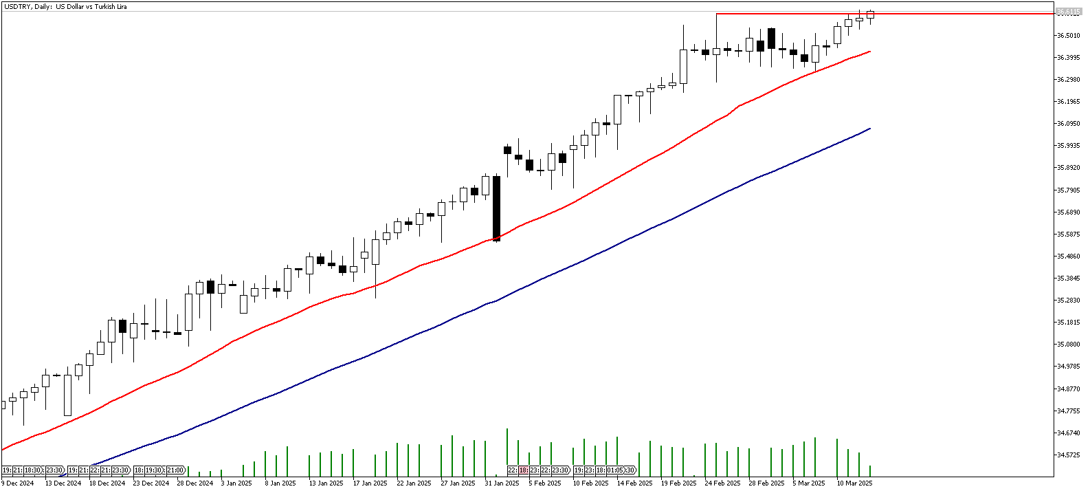 13 Mart 2025 Forex Analizi: USDTRY