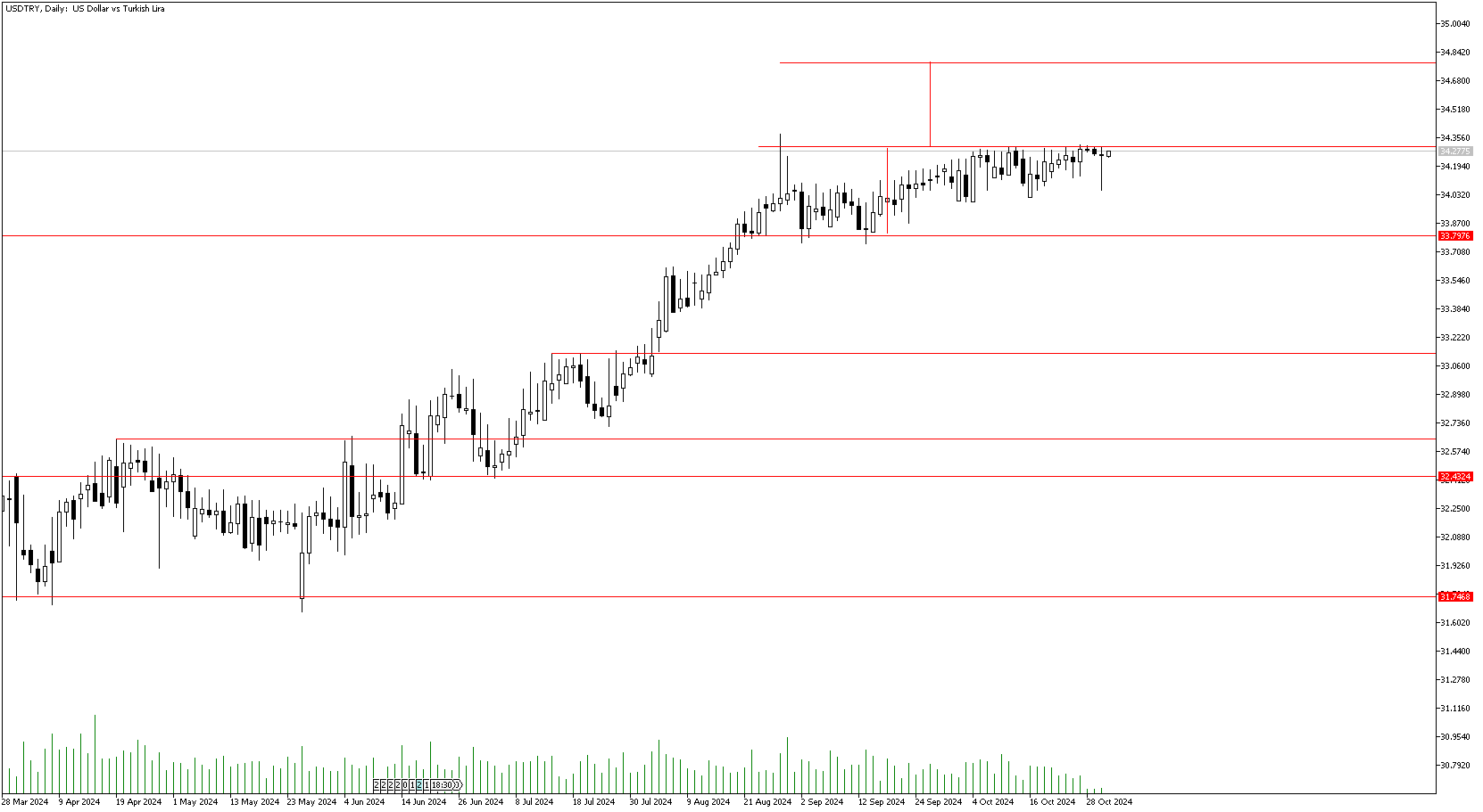 31 Ekim 2024 Forex Analizi: USDTRY