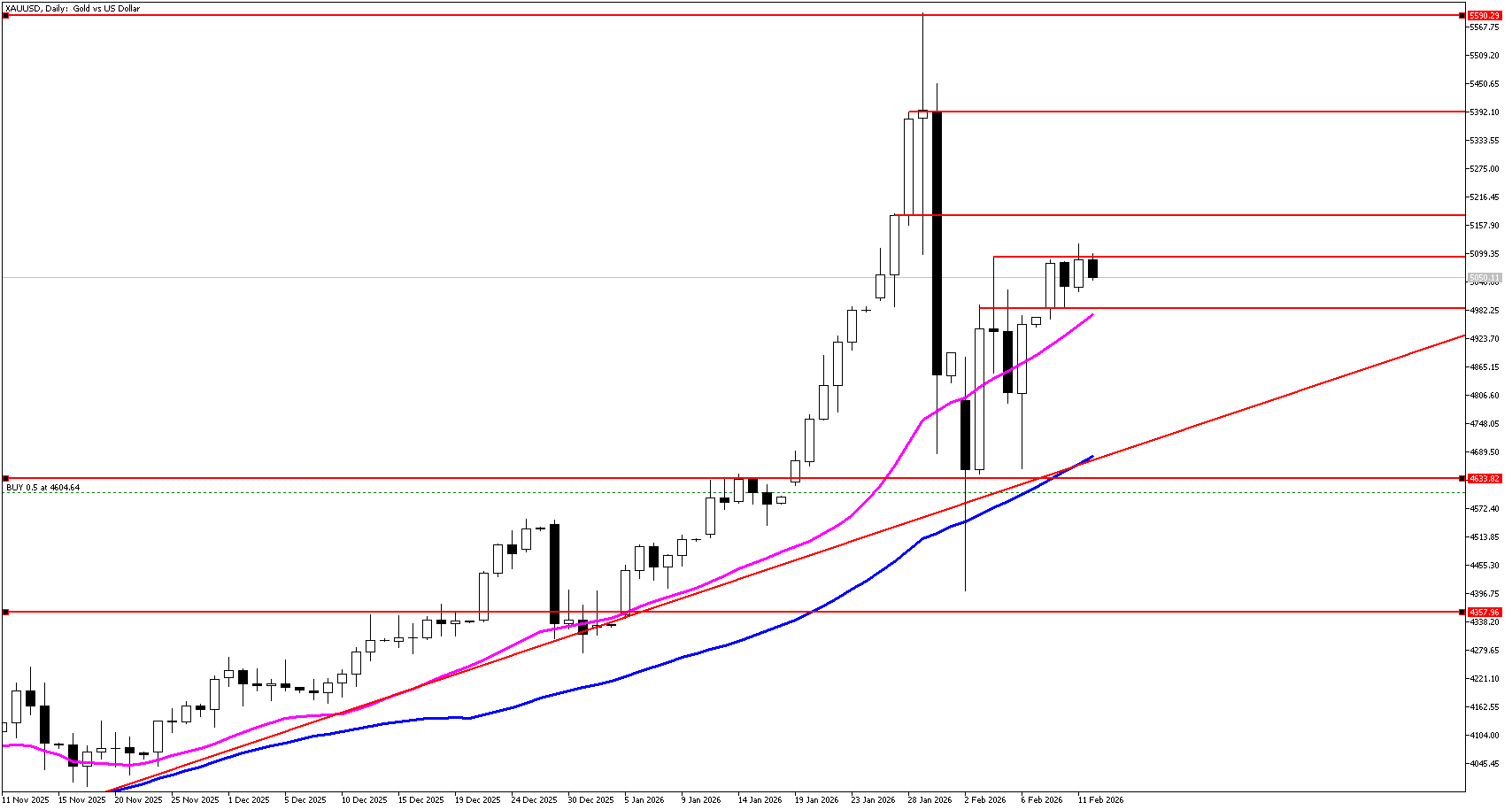 12 Şubat 2026 Forex Analizi: XAUUSD